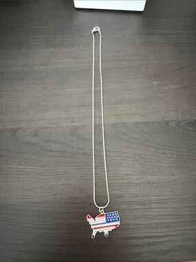 United States of America homemade necklace.